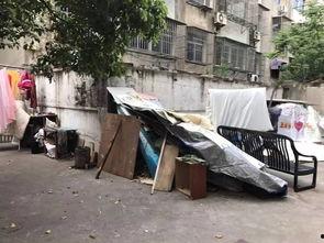 桐陵新闻爆料,揭秘当地热点事件背后真相