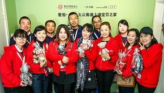 上海宝贝在线观看,在线观看，揭秘都市育儿生活